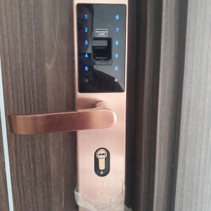Khoá HomeKit AB-07B khóa vân tay chuyên lắp cho cửa gỗ 4 tính năng